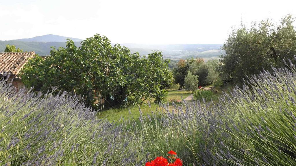 Casa Lorenzo Panicale Kültér fotó